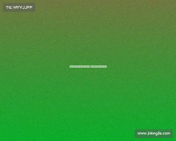 图卢兹周边深度游探索发现之旅 古城风貌与现代活力并存